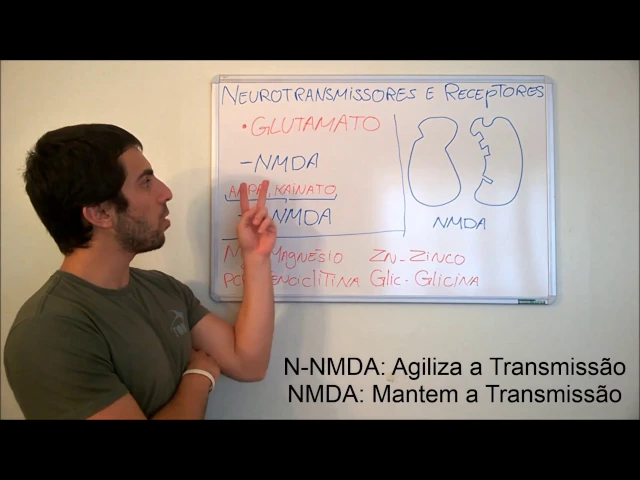 Neurofisiologia - NT e Receptores(Aminoácidos e Peptídeos)