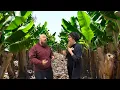 APES Unit 9 introduction with Mr W and Mr W