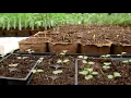 Grow Pittsburgh - Greenhouse