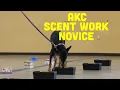 AKC Scent Work Novice Explained and Demonstrated