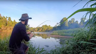 SOLO CAMP on banks of river- Fishing the freshwater (B2B Ep: 22)