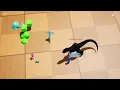 Top down melee combat