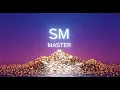 Scrum Master Salary Trends 2026 and Beyond