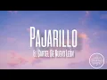 Pajarillo - El Cartel De Nuevo León (Letra/English Lyrics)
