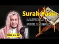 Download Lagu Lantunan Ayat Suci Al-Quran Surat Yasin (Yasin) Syeikh Alaa Aqel