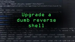 Upgrade a Dumb Reverse Shell into a Fully Functional Terminal Tutorial