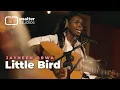 Download Lagu Little Bird – Live Acoustic Performance by Jayneen Orwa