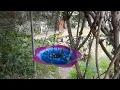 Download Lagu Garden of Peace. Chapter 4. Water dish for Bugs.  #insect oasis #bug water bowl