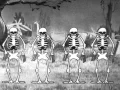 Download Lagu Silly Symphonies - The Skeleton Dance