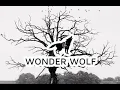Download Lagu Denmark + Winter - Don't Fear The Reaper
