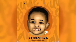 mzulu ft mnqobi yazo u0026 musiholiq better days