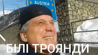 БІЛІ ТРОЯНДИ Ukrainian Cover Хіт 80 х Автор Сергій Кузнєцов Переклад виконання і відео В Брянцев 