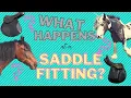 What happens in your horse s saddle fitting appointment