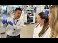 Exploring Careers in Health Care Lutheran Hospital Job Shadow Experience