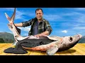 Cooking Giant Sturgeon with Caviar Incredible Recipes in a Mountain Village from Wilderness Cooking