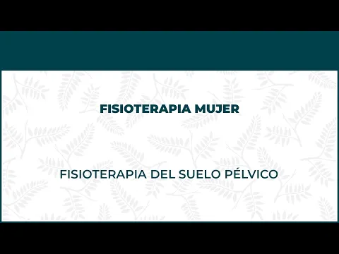 Fisioterapia Del Suelo Pélvico o Uroginecología - FisioClinics Logroño, La Rioja