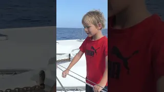 DOLPHINS PLAY With SAILBOAT!- 1500 Mile OCEAN PASSAGE