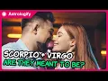 Scorpio Virgo Compatibility Are They Meant to Be