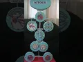 Mitosis cell division