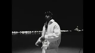 Micro TDH - Shake Shak (Official Video)