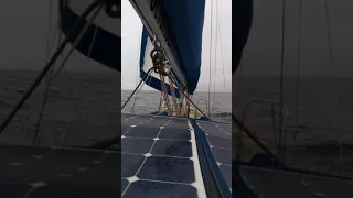 enjoying the Pacific