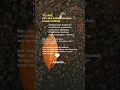 Download Lagu Kuatkan pundakku#shortvideo  #videoshort#quotesoftheday #motivasidiri#katabijak#katamotivasi#fypage