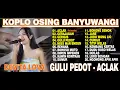 Download Lagu ACLAK, GERAJAGAN, GULU PEDOT - DEVITA LOVA - FULL ALBUM DANGDUT KOPLO OSING BANYUWANGI TERBAIK