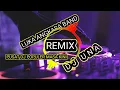 Download Lagu Luka ANGKASA BAND (REMIX) DJ UNA