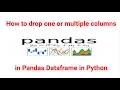 How to drop delete one or multiple columns in Pandas Dataframe in python