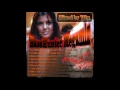 Download Lagu BassHunter Megamix (VGX)