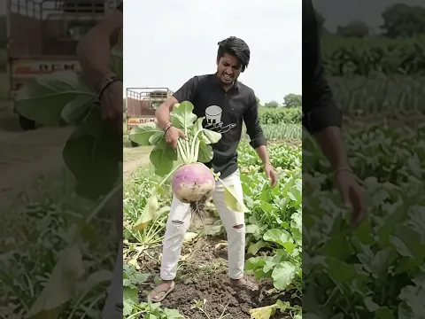 #shortvideo #automobile #youtubeshorts #funny