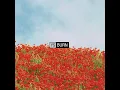 Download Lagu YS -- Switch