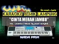 Download Lagu CINTA MERAH JAMBU - LAVENIA - KARAOKE REMIK LAMPUNG - NO VOCAL