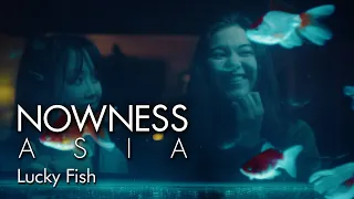 a queer coming of age romance set in a chinese restaurant lucky fish