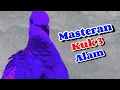 Download Lagu Derkuku Tekukur Gacor Kuk 3 Lokal Suara Padat, Masteran Paling Ditunggu