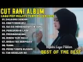 Download Lagu KINI SETELAH KUTEMUKAN DIA (SALAHMU SENDIRI) - CUT RANI TOP LAGU ALBUM TERBARU 2024