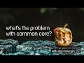 What s the Problem with Common Core