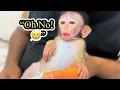 Download Lagu \