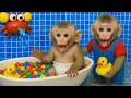 Download Lagu Mono KoKo rescata a su hermanito enfermo y se baña en una tina de caramelos! | MONO KOKO ESP