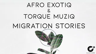 afro exotiq u0026 torque muziq migration stories cdr028 