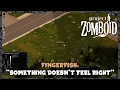 Something doesn t feel right - Project Zomboid