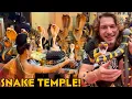 Lagu Thailand’s SNAKE Temple!