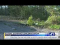 Jackson residents concerned about illegal dumping