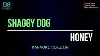 shaggy dog honey karaoke version tanpa vokal