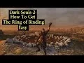 Dark Souls 2 How To Get The Ring of Binding Easy