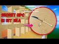 Download Lagu SECRET NPC IN 1ST SEA That You MISSED - Blox Fruits