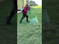 How to spray weeds in your lawn