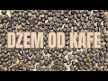Lagu Coffee Jam ☕️| 3 Ingredients Only | Dzem od Kafe | Marmellata di Cafe | Mermelada de Cafe