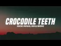 Nicki Minaj - Crocodile Teeth (Remix) (Lyrics)