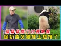 Download Lagu 250627001福宝踹门讨笋，200斤萝莉在线发飙！福公主组合拳拆家现场实录：起床气暴击徐奶爸！要十个红果果才能哄好的熊生危机到底多刺激？